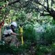 Schonstedt Helps Accelerate Demining Efforts in Lebanon